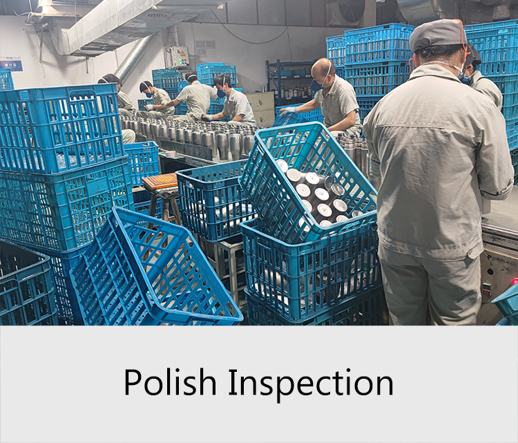 Polish-inspection